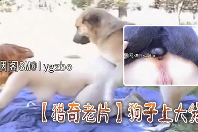 猎奇老片狗子上大分