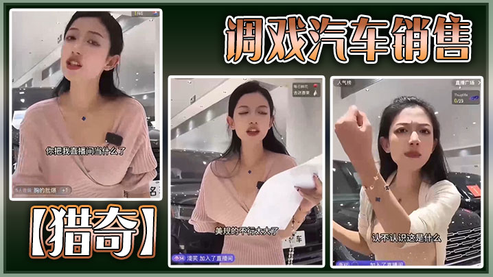 调戏汽车销售