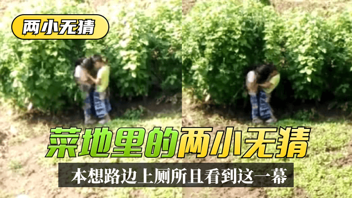 本想路边上厕所,没想到一抬头菜地里看到这一幕