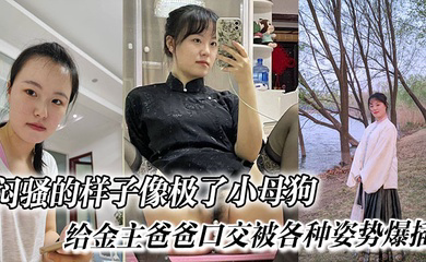 闷骚的样子像极了小母狗, 给金主爸爸口交被各种姿势爆插