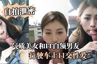 自拍泄密气质美女和IT白领男友在行驶车上口交性爱视频流出