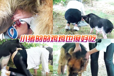 小猪的的鸡鸡也很好吃
