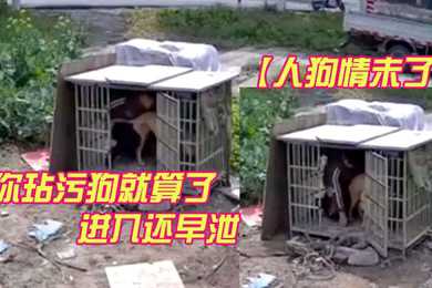人狗情未了监控视频流出你玷污狗就算了进入还早泄