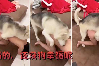 妈的还没狗幸福呢