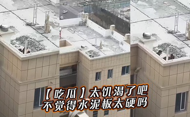 太饥渴了吧,不觉得水泥板太硬吗