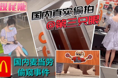 稀缺资源国内商场尾随-潜入麦当劳高清有声版