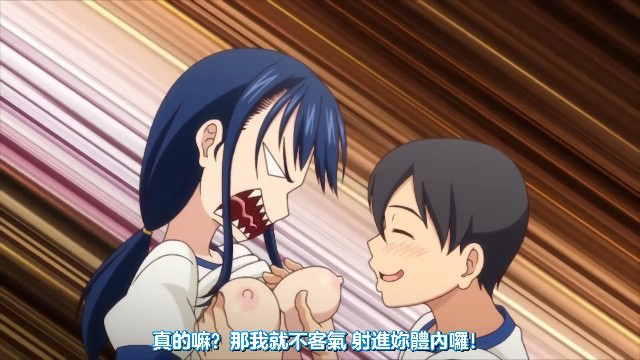 HAT5914いくものがかりTheAnimation