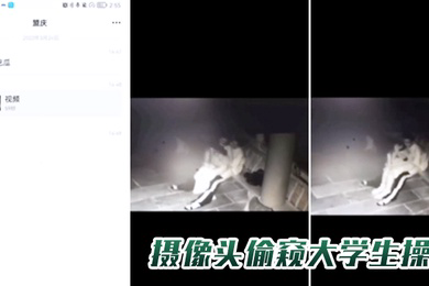 摄像头偷窥大学生操屄