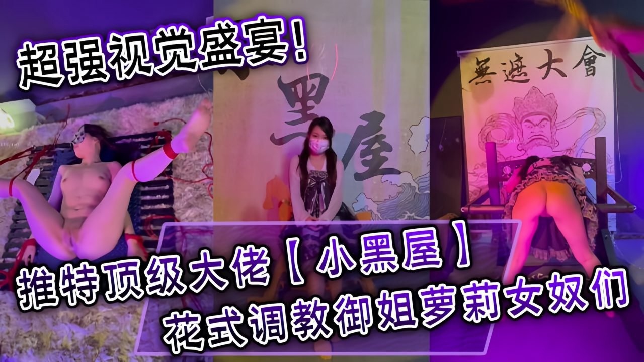 超强视觉盛宴!推特顶级大佬订阅最全完整视图集