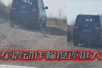 车震动作幅度还挺大