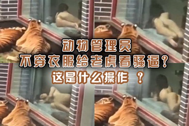 动物管理员不穿衣服给老虎看骚逼这是什么操作