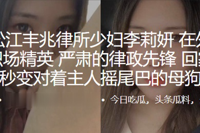 上海松江丰兆律所少妇李莉妍在外是个干练职场精英严肃的律政先锋回家以后秒变对着主人摇尾巴的母狗